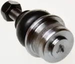DENCKERMANN  Kande-/juhtliigend D110253