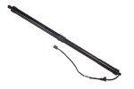 DENCKERMANN Elektrimootor,  tagaluuk G100064