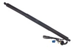 DENCKERMANN Elektrimootor,  tagaluuk G100082