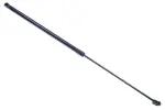 DENCKERMANN kapoti amort G110027