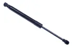 DENCKERMANN Gaasivedru, mootorikapott G110394