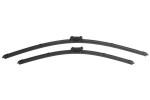 DENCKERMANN Klaasipühkija (kojamees) VD10049