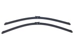 DENCKERMANN Klaasipühkija (kojamees) VD10119