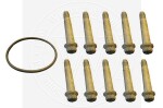 WINNARD wa253 / set of brake disc bolts