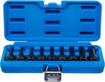 Jõupadrunotsikute komplekt Torx 20-70 x 75mm, 1/2"