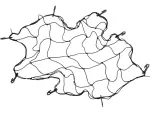 võrk organiseerija pagasiruumi konksudega 90 x 90cm VOREL