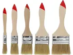 Pintslite komplekt 5.- osaline  TOYA