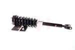 AUTO-GH KOLUMNY AMORTYZATORA GH-333353C03 / shock absorber + spring front