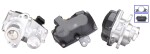 DRI EGR-klapp 717730242