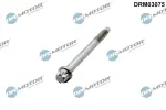 Dr.Motor Automotive Pihustipolt / sissepritsedüüsi kinnitus DRM03075
