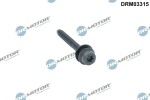 Dr.Motor Automotive Kruvi, sissepritsedüüsi kinnitus DRM03315