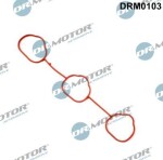 Dr.Motor Automotive Tihend,  drosselklapp DRM0103