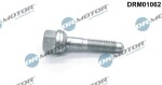 Dr.Motor Automotive Pihustipolt / sissepritsedüüsi kinnitus DRM01062