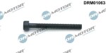 Dr.Motor Automotive  Kruvi, sissepritsedüüsi kinnitus DRM01063