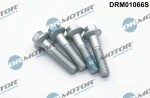 Dr.Motor Automotive  Kruvi, sissepritsedüüsi kinnitus DRM01066S