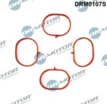 Dr.Motor Automotive  Tihendikomplekt,Sisselaskekollektor DRM0107S