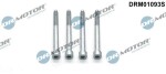Dr.Motor Automotive  Kruvi, sissepritsedüüsi kinnitus DRM01093S