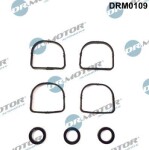 Dr.Motor Automotive  Tihendikomplekt,Sisselaskekollektor DRM0109