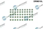 Dr.Motor Automotive Rõngastihend,  Pihusti DRM010L
