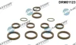 Dr.Motor Automotive  Remondikomplekt,kliimaseade DRM01123