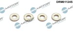 Dr.Motor Automotive Kaitseseib,  sissepritse (pihustiseib) DRM01124S