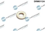 Dr.Motor Automotive Kaitseseib,  sissepritse (pihustiseib) DRM01124