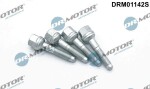 Dr.Motor Automotive Pihustipolt / sissepritsedüüsi kinnitus DRM01142S