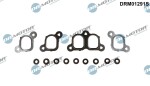 Dr.Motor Automotive  Tihendikomplekt,Sisselaskekollektor DRM01291S