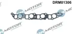 Dr.Motor Automotive Tihend,  drosselklapp DRM01306