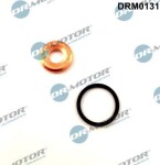 Dr.Motor Automotive  Комплект прокладок, форсунка DRM0131