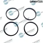 Dr.Motor Automotive  Tihendikomplekt,Sisselaskekollektor DRM0132S