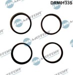 Dr.Motor Automotive  Tihendikomplekt,Sisselaskekollektor DRM0133S