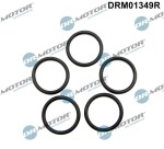 Dr.Motor Automotive Õlikorgi seib (õli väljalaske rõngastihend) DRM01349R