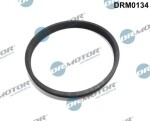 Dr.Motor Automotive  Tihend, drosselventiil DRM0134