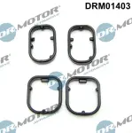 Dr.Motor Automotive  Tihendikomplekt,õliradiaator DRM01403