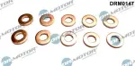 Dr.Motor Automotive Kaitseseib,  sissepritse (pihustiseib) DRM0147