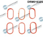 Dr.Motor Automotive  Tihendikomplekt,Sisselaskekollektor DRM01632S
