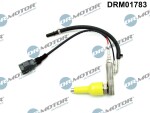Dr.Motor Automotive Sissepritse,  tahma-/partiklifiltri taastamine DRM01783