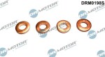 Dr.Motor Automotive Kaitseseib,  sissepritse (pihustiseib) DRM0198S