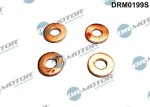 Dr.Motor Automotive Kaitseseib,  sissepritse (pihustiseib) DRM0199S