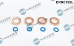 Dr.Motor Automotive  Tihendikomplekt, Sissepritsedüüs DRM019SL