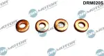 Dr.Motor Automotive Kaitseseib,  sissepritse (pihustiseib) DRM020S