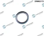 Dr.Motor Automotive Võlli rõngastihend,  Väntvõll DRM02172