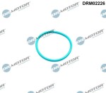 Dr.Motor Automotive  Tihend, EGR-klapp DRM02226