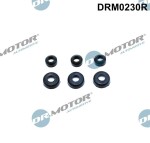Dr.Motor Automotive  Tihend,klapikaanekruvid DRM0230R