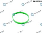 Dr.Motor Automotive Tihend,  drosselklapp DRM02516