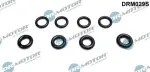Dr.Motor Automotive Rõngastihend,  Pihusti DRM029S