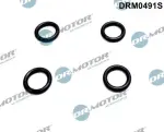 Dr.Motor Automotive Rõngastihend,  Pihusti DRM0491S