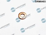 Dr.Motor Automotive Kaitseseib,  sissepritse (pihustiseib) DRM0493