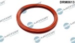 Dr.Motor Automotive Tihend,  drosselklapp DRM0613